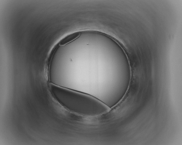 X0000110741510200906221018