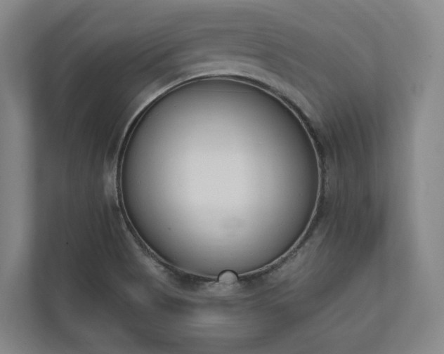 X0000110741513200906221018