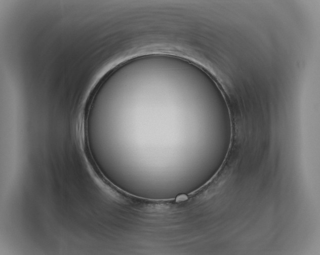 X0000110741515200906221018