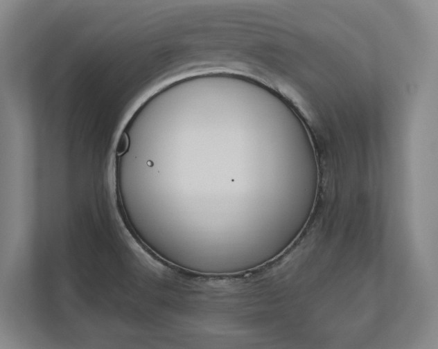 X0000110741516200906221018