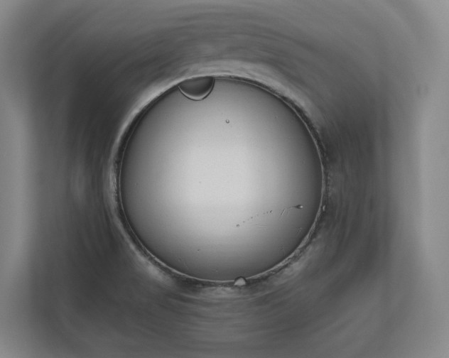 X0000110741517200906221018