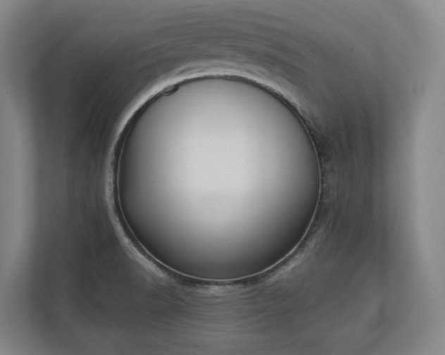 X0000110741518200906221018