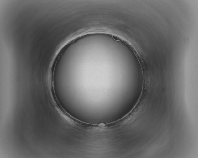 X0000110741519200906221018