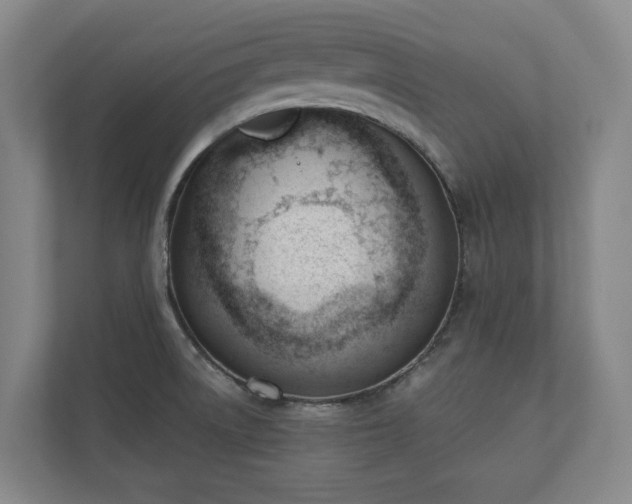 X0000110741522200906221018