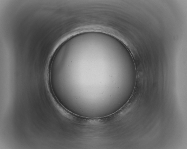 X0000110741523200906221018