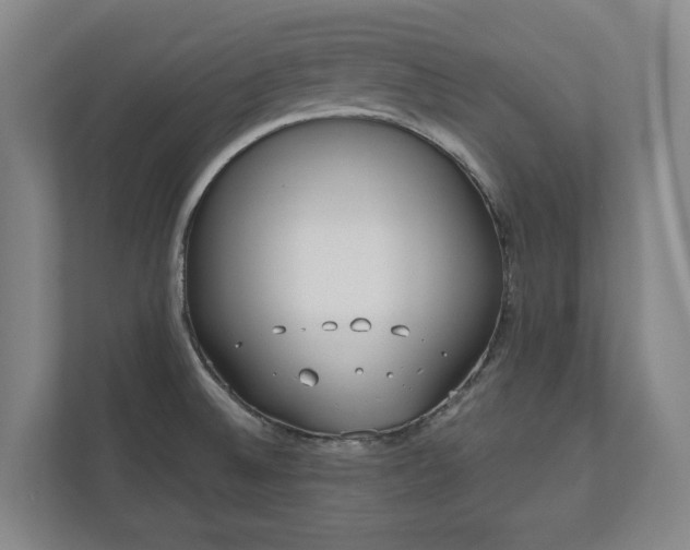X0000110741524200906221018