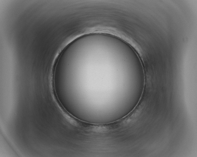 X0000110741525200906221018