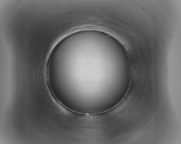 X0000110741527200906221018