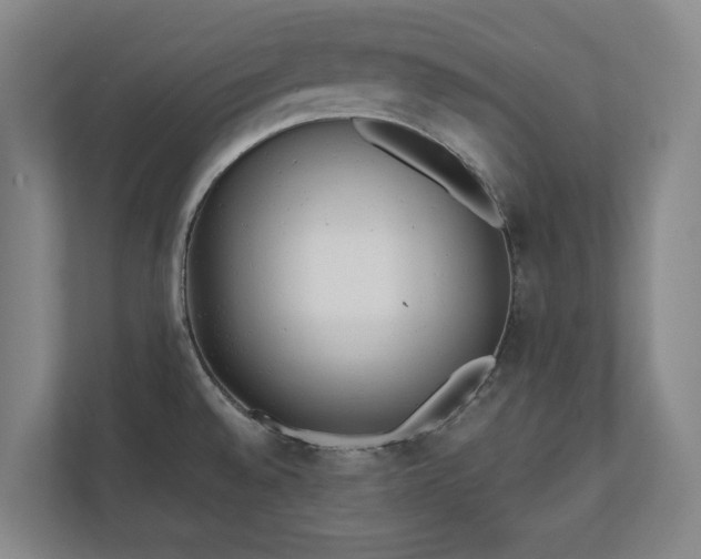 X0000110741528200906221018
