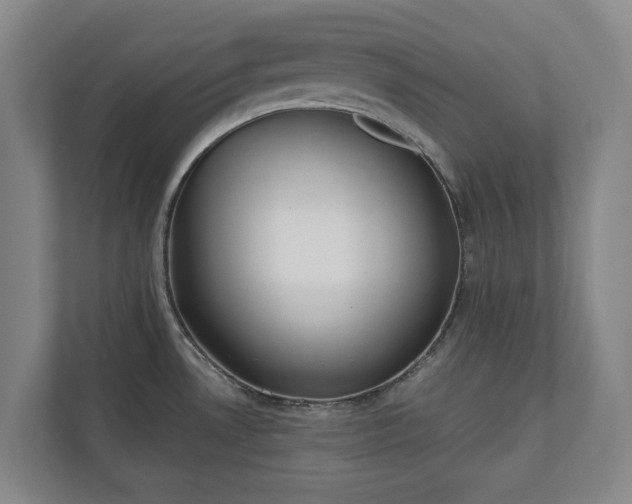 X0000110741530200906221018