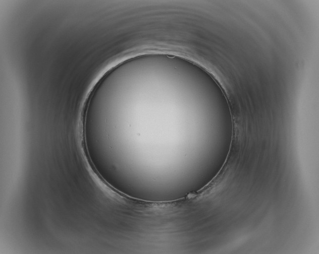X0000110741531200906221018