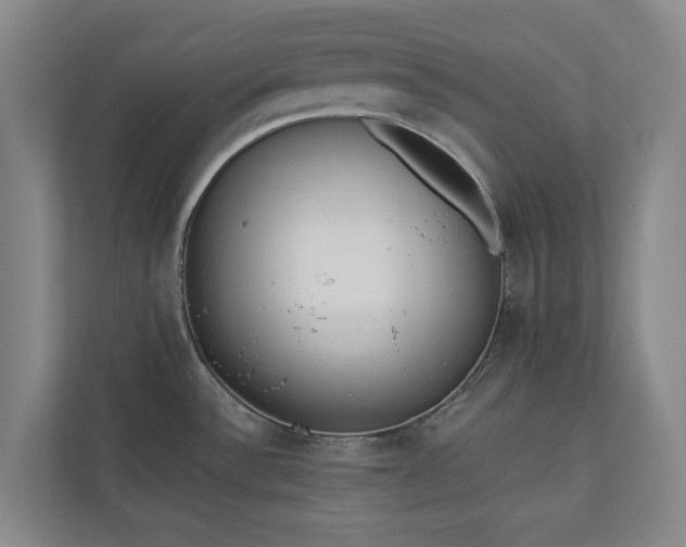 X0000110741532200906221018