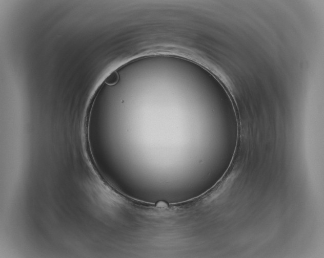 X0000110741533200906221018