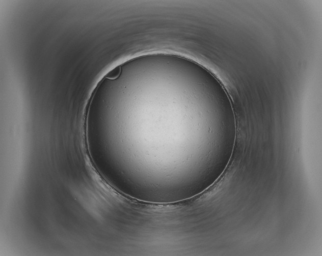 X0000110741534200906221018