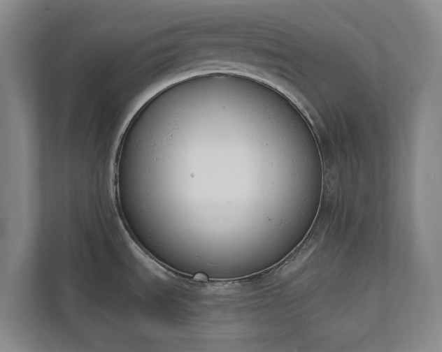 X0000110741535200906221018
