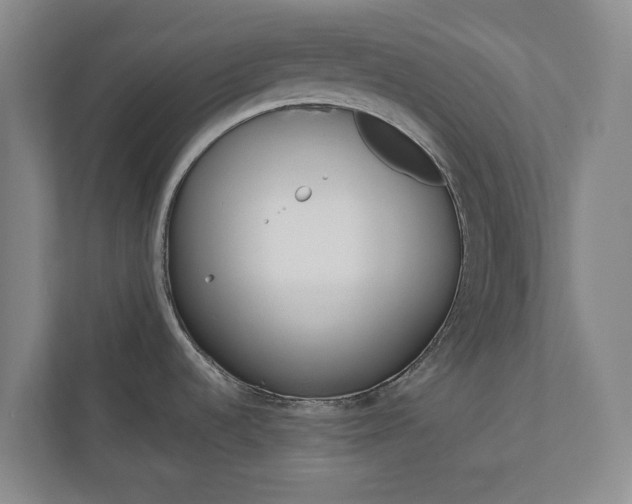 X0000110741536200906221018