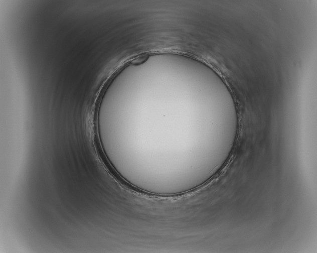 X0000110740002200906290957