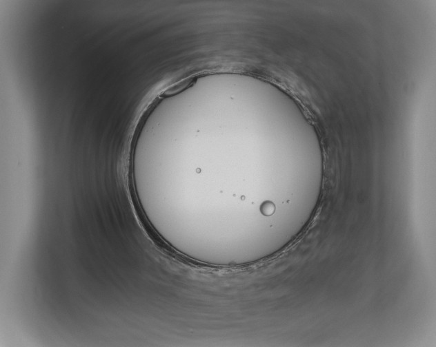 X0000110740003200906290957