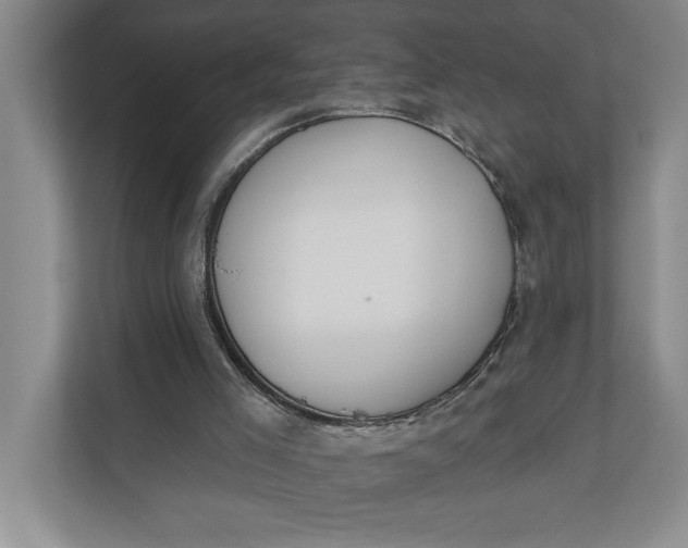 X0000110740005200906290957