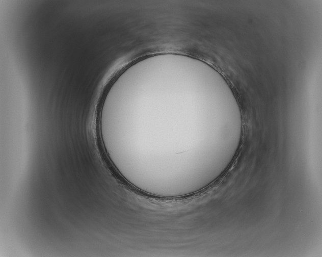 X0000110740006200906290957