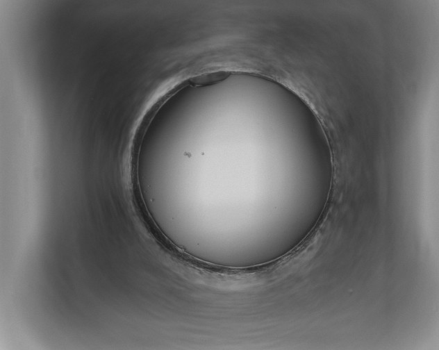 X0000110740008200906290957