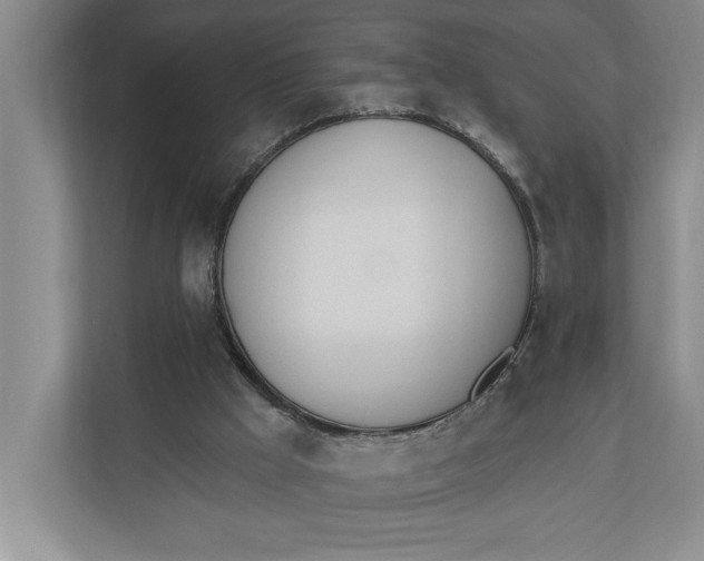 X0000110740009200906290957