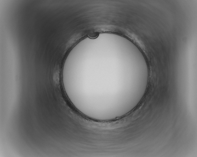 X0000110740010200906290957