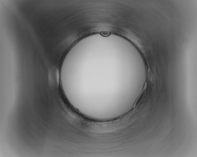 X0000110740013200906290957