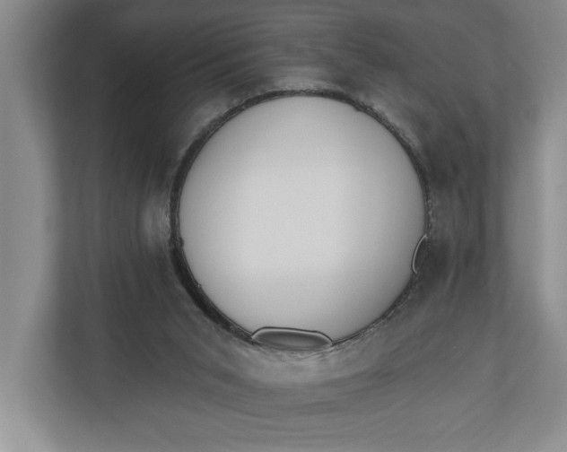 X0000110740015200906290957