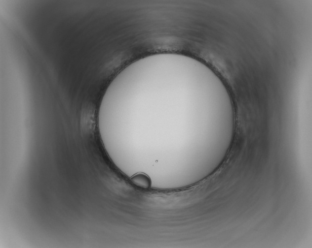 X0000110740017200906290957