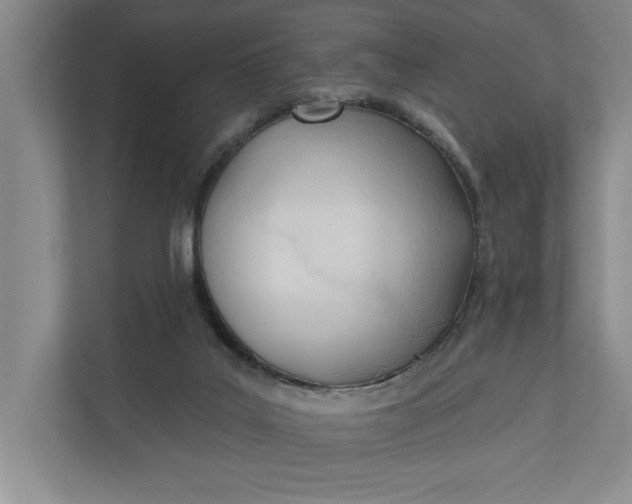 X0000110740019200906290957