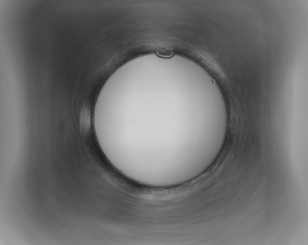 X0000110740021200906290957