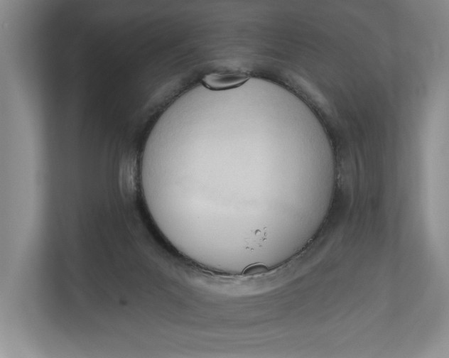 X0000110740023200906290957