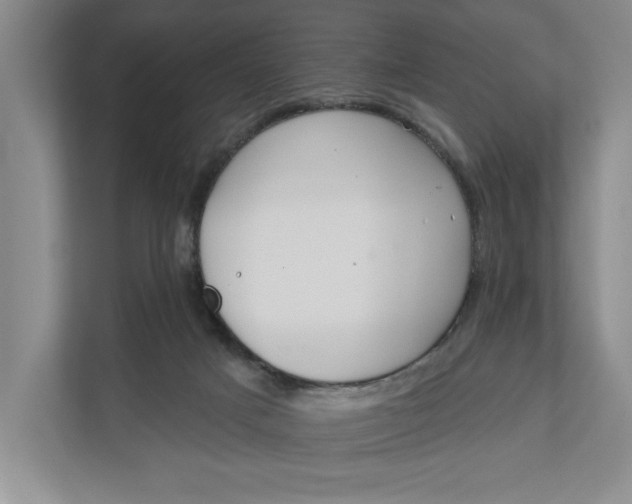 X0000110740025200906290957