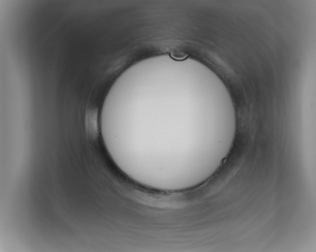 X0000110740028200906290957