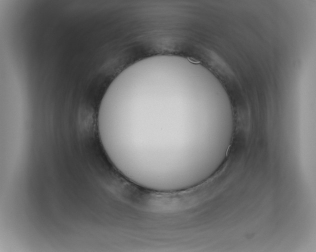 X0000110740029200906290957