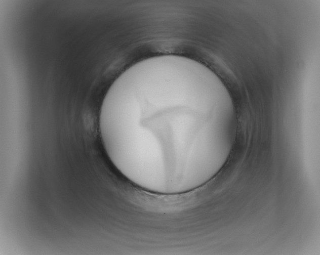 X0000110740031200906290957