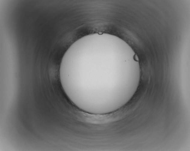 X0000110740034200906290957