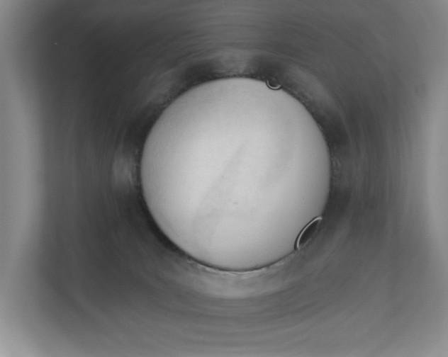 X0000110740035200906290957