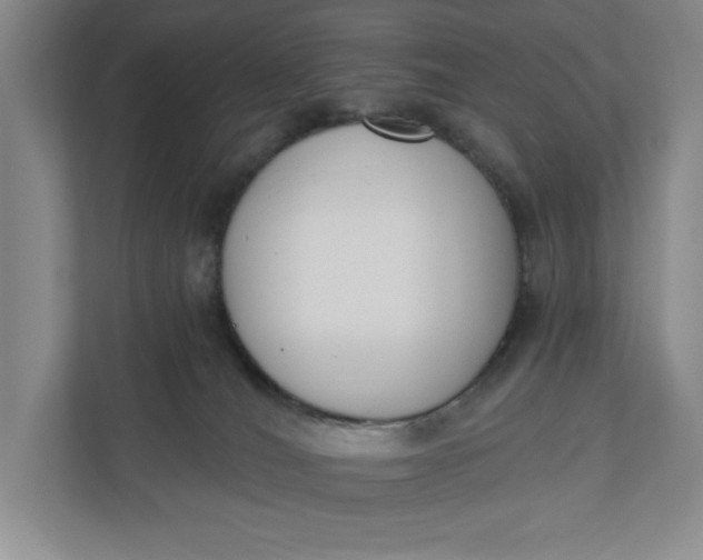 X0000110740036200906290957