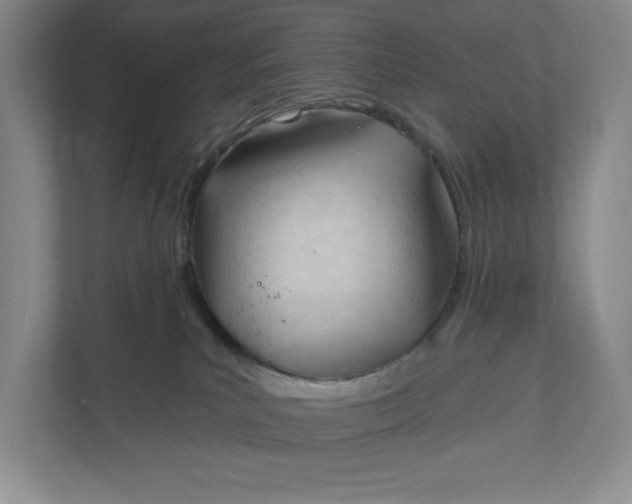 X0000110740039200906290957