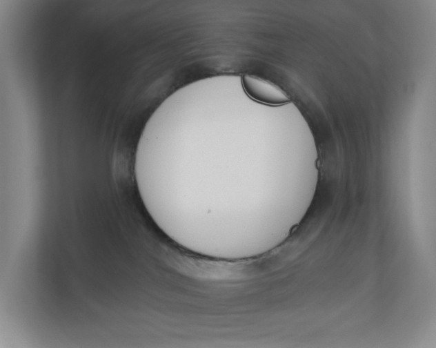 X0000110740044200906290957