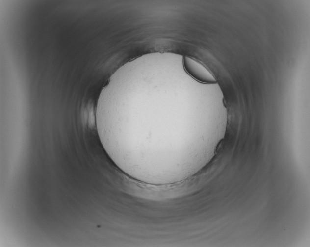 X0000110740046200906290957