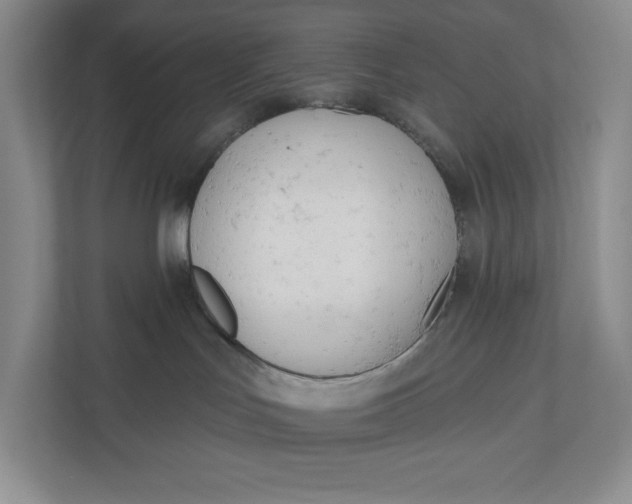 X0000110740047200906290957