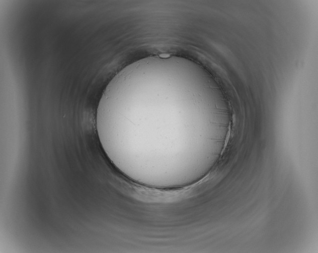 X0000110740048200906290957