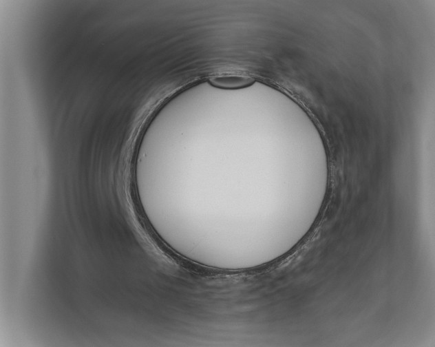 X0000110740049200906290956