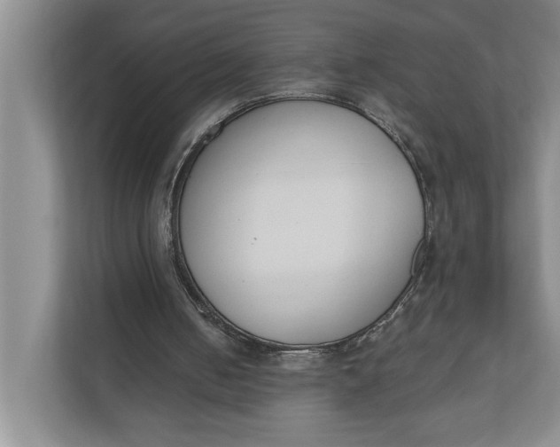 X0000110740050200906290956