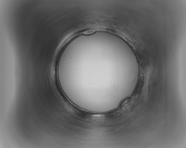 X0000110740053200906290956