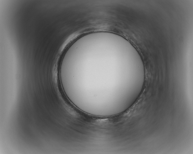 X0000110740054200906290956