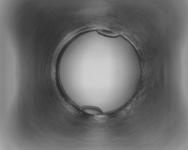 X0000110740055200906290956